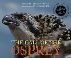 Call of the Osprey, Hardcover/Dorothy Hinshaw Patent foto