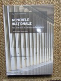 NUMERELE IRATIONALE , UN SCANDAL IN INIMA MATEMATICII de BARTOLO LUQUE si JORGE CALERO , 2021 IN TIPLA
