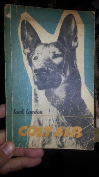 Colt alb – Jack London Colt alb – Jack London