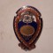 Insigna Brasov 1921 - 1