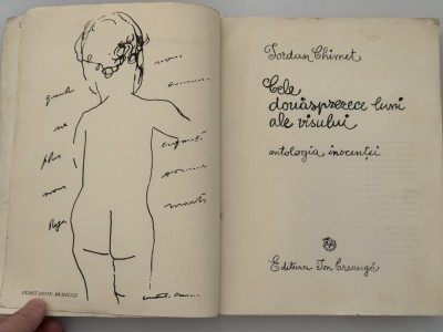 Iordan Chimet - Cele douasprezece luni ale visului - ed 1972 foto