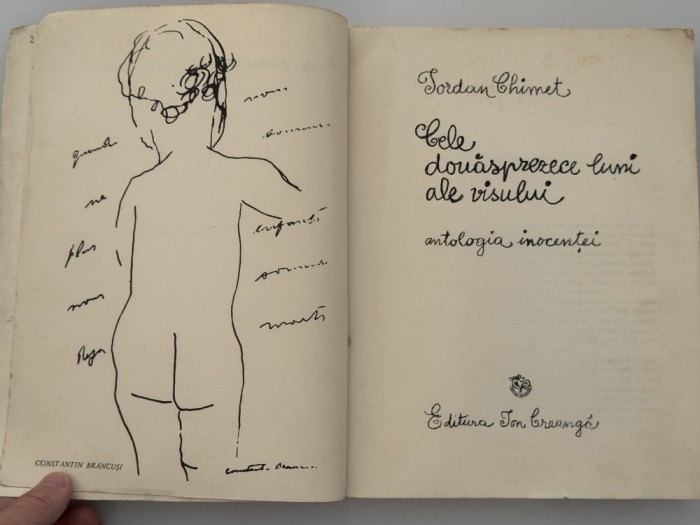 Iordan Chimet - Cele douasprezece luni ale visului - ed 1972