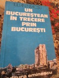 Iulian Neacsu - Un Bucurestean in trecere prin Bucuresti