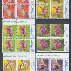 2007 LP 1758 a ORHIDEE SALBATICE DIN ROMANIA BLOCURI DE 4 CU TABS ROMANA MNH