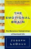 The Emotional Brain: The Mysterious Underpinnings of Emotional Life