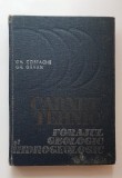 Carnet tehnic: Forajul geologic și hidrogeologic - Gh. Costache, Gh. Găvan