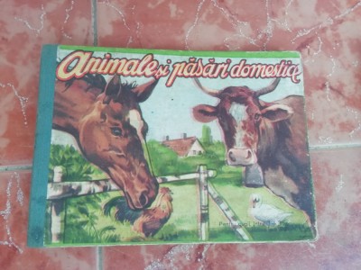 Animale si pasari domestice foto