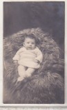 Bnk foto Portret de copil - Foto Kaufman Saveni Dorohoi, Alb-Negru, Romania 1900 - 1950, Portrete