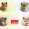 Romania, LP 1960/2014, Pui de animale salbatice, c.p.i. maxime in etui
