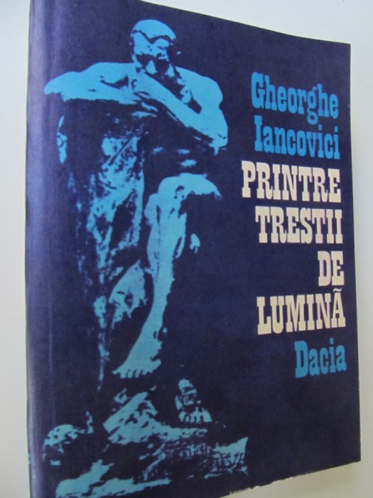 Printre trestii de lumina - Gheorghe Iancovici