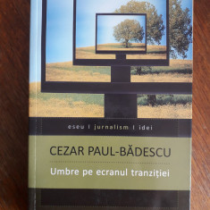 Umbre pe cerul tranzitiei - Cezar Paul Badescu / R8P1F