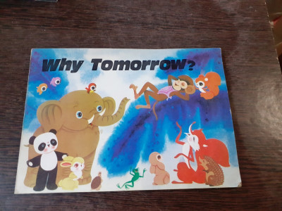 WHY TOMORROW? - L. STUFEN (CARTE PENTRU COPII, IN LIMBA ENGLEZA) foto