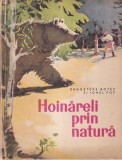 Demostene Botez, Ionel Pop - Hoinareli prin natura. Cu ilustratii de Coca
