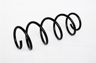 Arc Suspensie Fata 151706 73769 foto