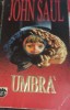 Umbra - John Saul (Rao, 1993) Roman Politist, 448 pagini