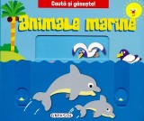 Cauta si gaseste. Animale marine - Girasol