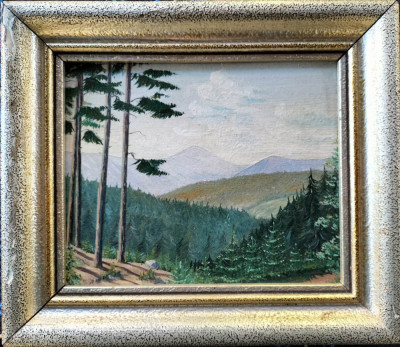 Pictură veche - tablou cu peisaj montan, nesemnat foto