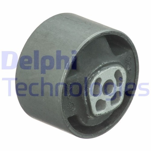 Delphi Suport motor