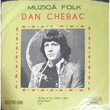 Disc vinil, LP. Celor Ce Nu Iubesc Arta. Razboinicii. Toti-DAN CHEBAC-242332
