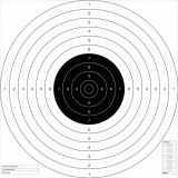 Set 50 Tinte Airsoft TS-2 PSP ISSF 52x52cm
