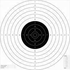 Set 50 Tinte Airsoft TS-2 PSP ISSF 52x52cm