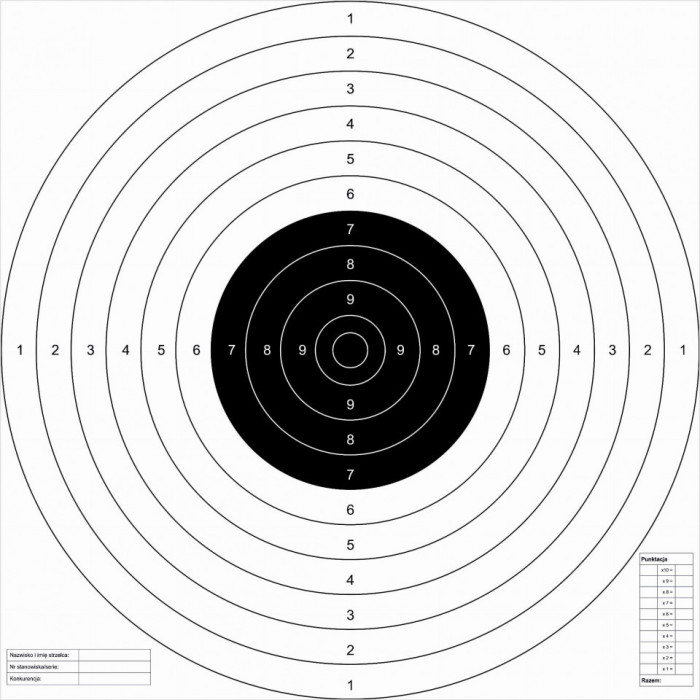 Set 50 Tinte Airsoft TS-2 PSP ISSF 52x52cm