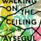 Walking on the Ceiling