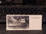 Poiana Brașov, La mulți ani, felicitare, format liliput, circa 1938, 205
