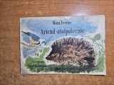 carte pentru copii - ariciul atotputernic - din anul 1957