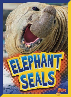Elephant Seals foto