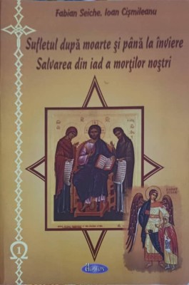 SUFLETUL DUPA MOARTE SI PANA LA INVIERE. SALVAREA DIN IAD A MORTILOR NOSTRI-FABIAN SEICHE, IOAN CISMILEANU-254983 foto