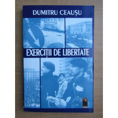 Dumitru Ceausu - Exercitii de libertate