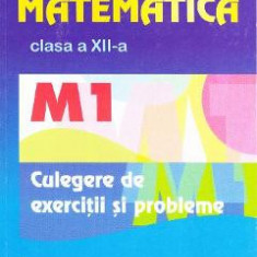 Matematica clasa 12 M1 culegere de exercitii si probleme - Marius Burtea, Georgeta Burtea