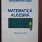 Matematica. Algebra (clasa a VII-a)