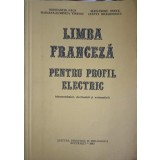LIMBA FRANCEZA PENTRU PROFIL ELECTRIC-CONS. PAUN, AL. ONETE, MARIANA-LUMINITA VATOSU, J. DRAGHICESCU-216383