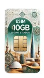 eSIM Saudi Arabia 100GB 30Days Standard