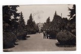 TURNU SEVERIN PARCUL PALATUL MUNICIPAT STATUIA TRAIAN, Circulata, Fotografie