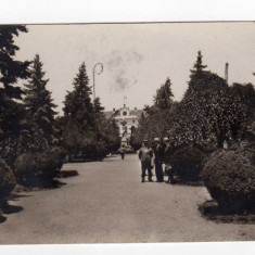 TURNU SEVERIN PARCUL PALATUL MUNICIPAT STATUIA TRAIAN