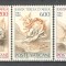 Vatican.1982 400 ani moarte Sf.Tereza din Avila SV.539