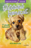 Catelusul fermecat. O parada fantastica - Litera
