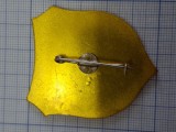 insigna militara SPP Comanda