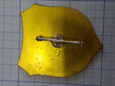 insigna militara SPP Comanda foto
