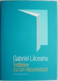 Intalnire cu un necunoscut - Gabriel Liiceanu - Roman, Beletristica