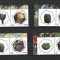 ROMANIA 2023 - CACTUSI, VINIETA 1, MNH - LP 2438a
