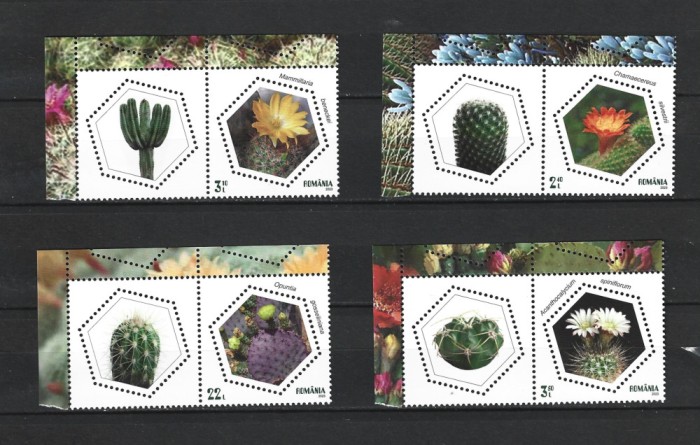 ROMANIA 2023 - CACTUSI, VINIETA 1, MNH - LP 2438a