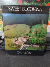 Sweet Bucovina Dulce Bucovina Ion Miclea 520 ilustratii Bucure?ti 1977 052 foto