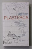 PLASTERCA de CALIN TORSAN , roman , 2013