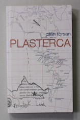 PLASTERCA de CALIN TORSAN , roman , 2013