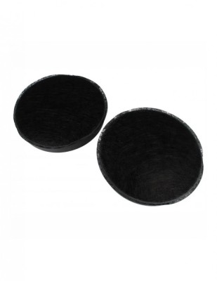 Set 2 filtre carbon hota Bosch DWP66BC50 originale 00796390 foto