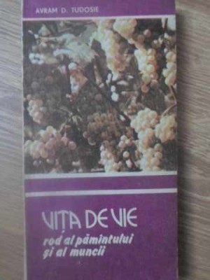 VITA DE VIE ROD AL PAMINTULUI SI AL MUNCII-AVRAM TUDOSIE-220508 foto